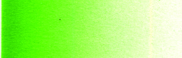 Schmincke Aerocolor 28ml Permanent Green