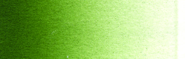 Schmincke Aerocolor 28ml Chromium Oxide Green Brilliant
