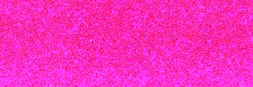 Schmincke Aqua Drop 30ml Liquid Watercolour Ruby Red