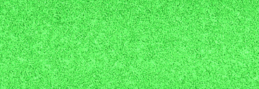 Schmincke Aqua Drop 30ml Liquid Watercolour Emerald Green