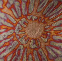 [CR72360] Roberson Metal Leaf Variegated No 236 S1 Loose Book of 25 Sheets